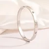 estilo 2-plata, HY0091
