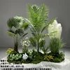 Paquete de plantas Reed Green, 17 unidades.