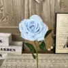 Ty-singolo angolo rosa-azzurro