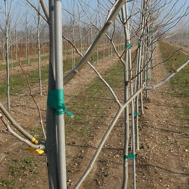 Garden Fruit Tree Support Rod, 8mm9mm10mm12mm Fiberglass Garden Stake ...