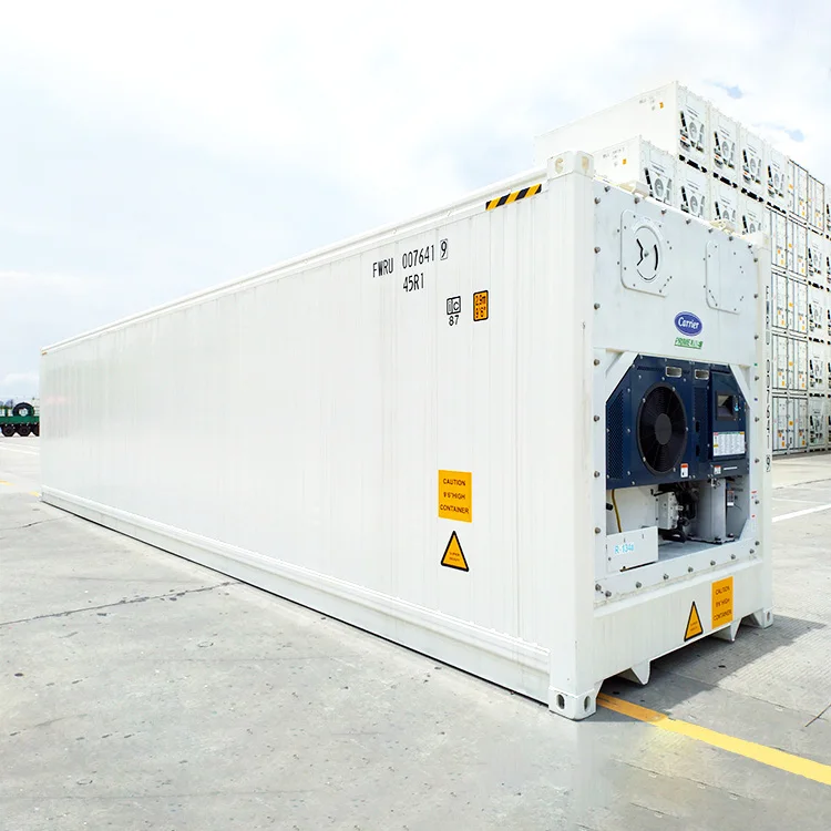 40 Feet Reefer Container Equip Thermo King Cooling Unit R404a Buy 40