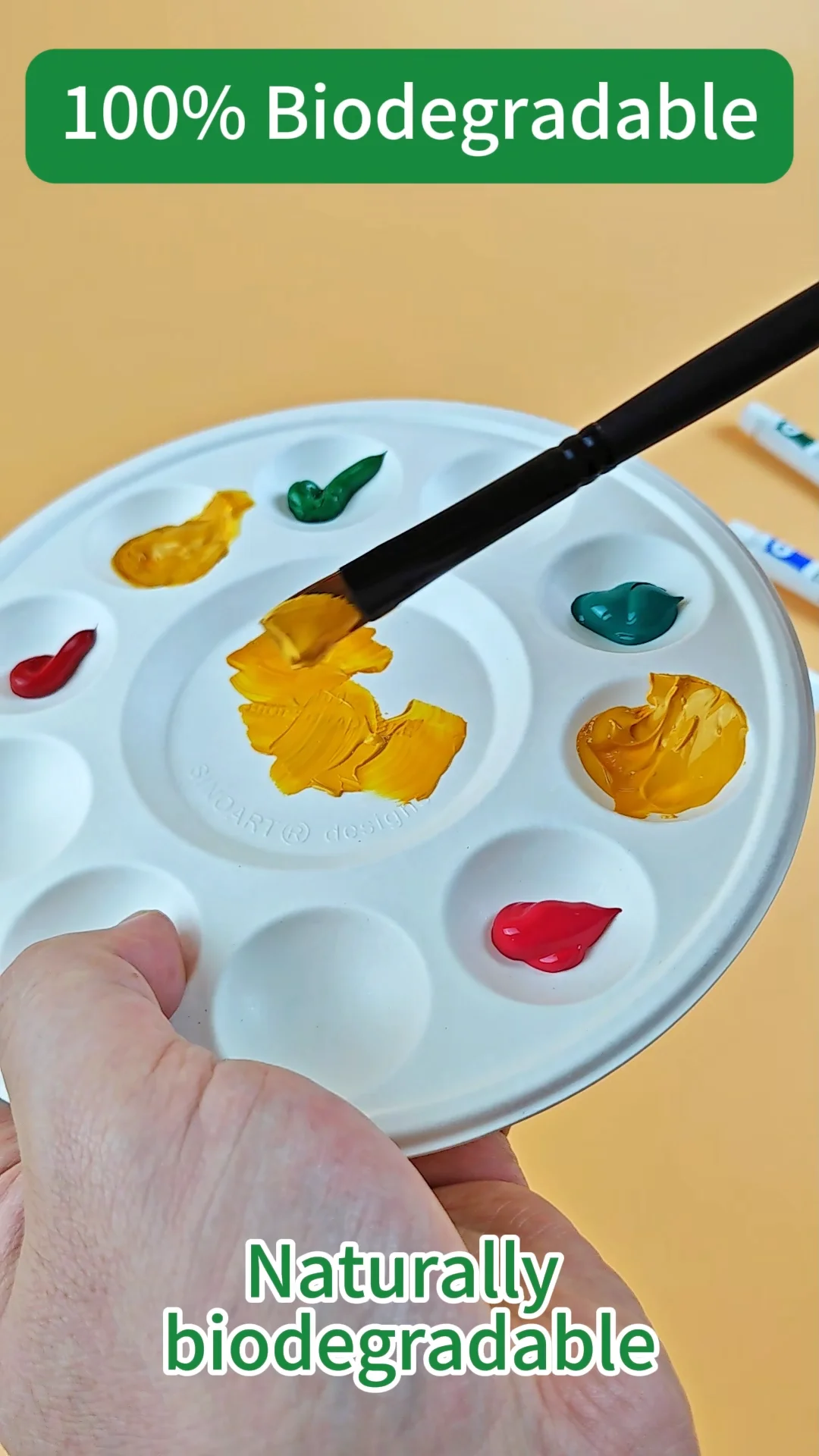 Sinoart 10 Wells Disposable Palette Bamboo Naturally Biodegradable Bio