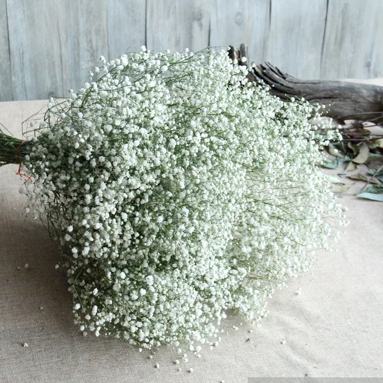 Fleur Preservee Gypsophilia Pour Arrangement Floral Avec Gypsophiles Bebe Buy Preservee Bebe Souffle Conserves Bebe Souffle Conserves Bebe Souffle Product On Alibaba Com