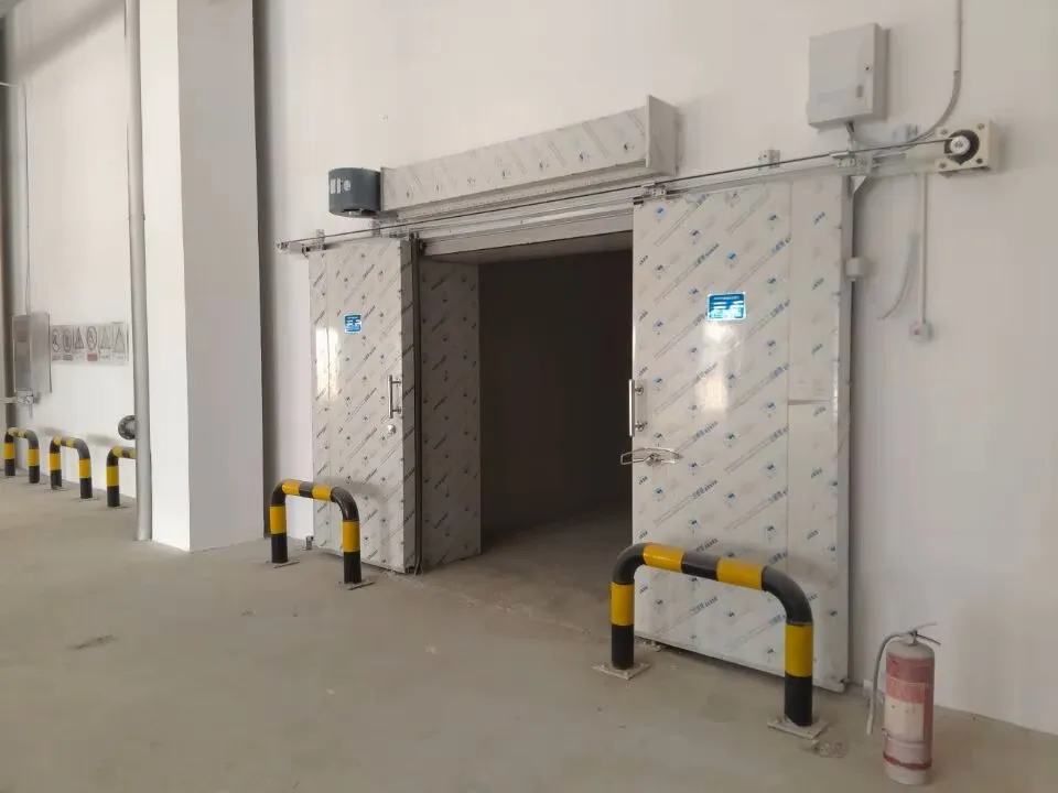 Large cold storage rooms for meat/fish/vegetable processing plants and slaughterhouses
