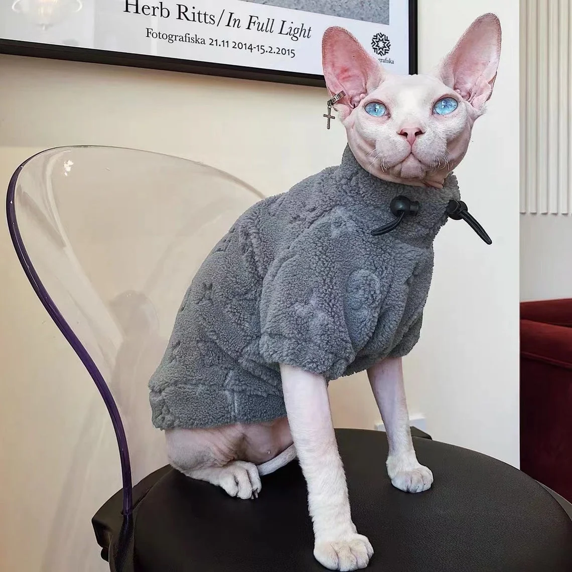 Denim Louis Vuitton T-shirt for Sphynx Cat