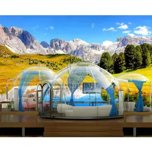 Commercial Dome Hotel House Glass Pc Polycarbonate Houses Dome