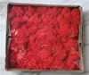 H-02 Red