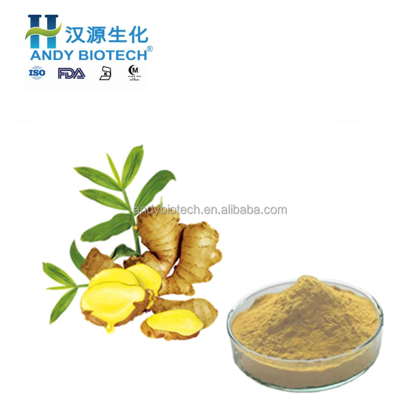 ginger root extract 1