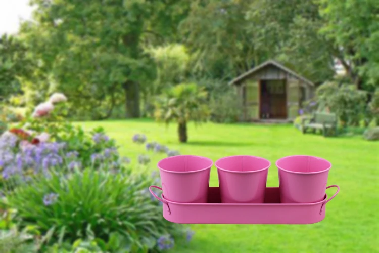 BX Metal Flower Plant Seed Pot Bucket 3 Set Flower Pots