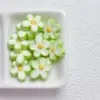 03-Fruit Green