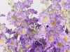 Violet profond
