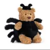 Orso ragno