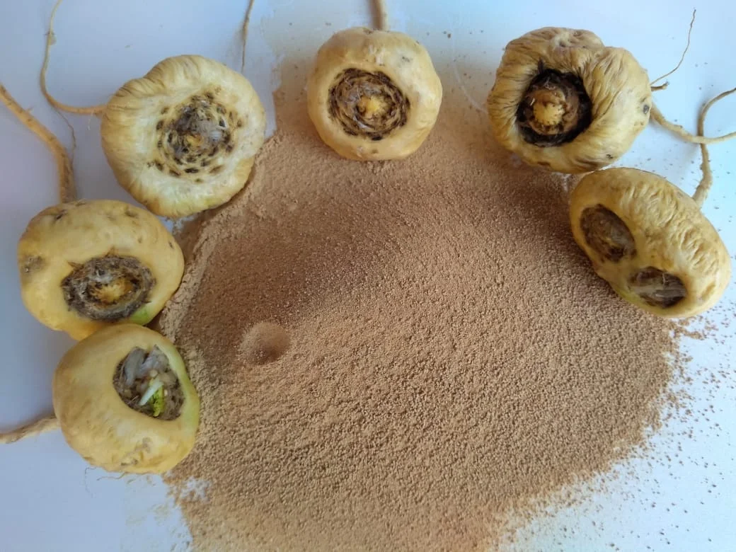 Yellow Maca Powder 100 Peruvian Yellow Root Superfood Yellow Maca