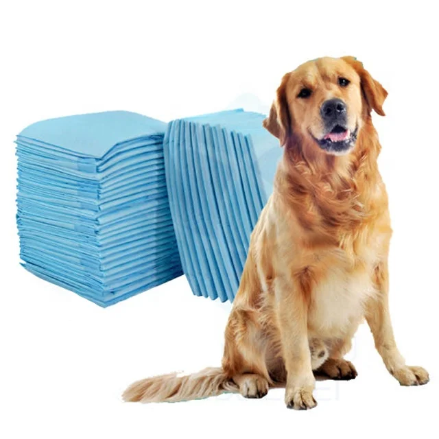 Disposable Incontinence  Pads Disposable Lady Maternity diapers Supplier