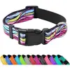 Colorful Wave Pattern