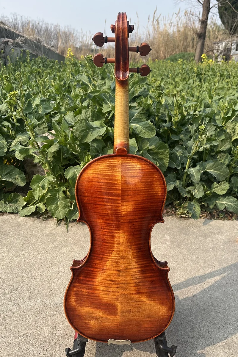 バイオリン 4/4 Amazon | バイオリン 4/4 カラフルなバイオリン ソリッドウッド