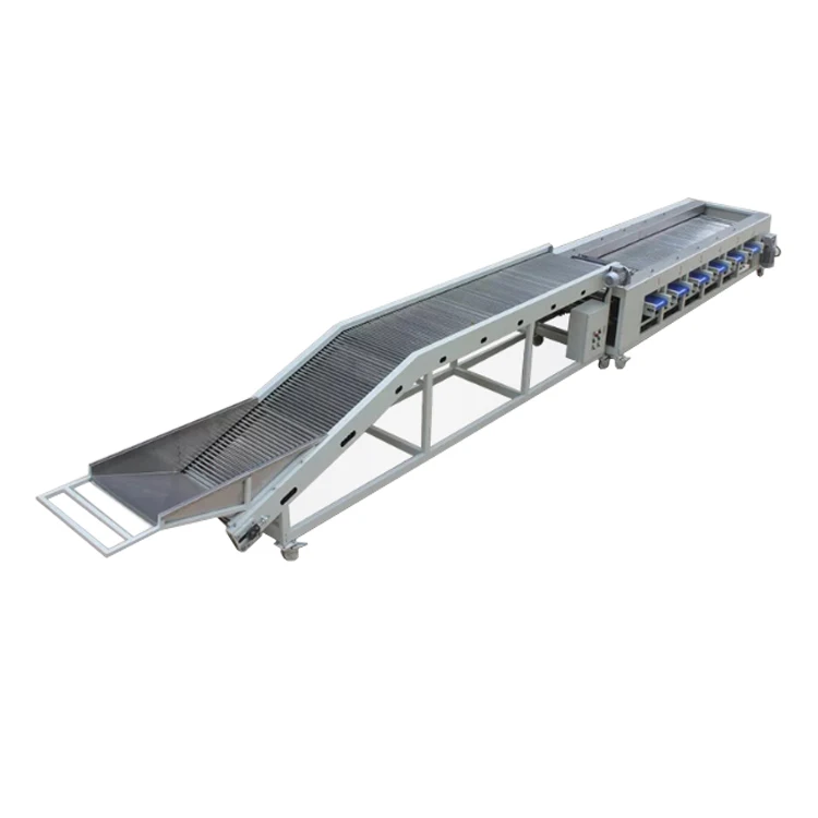 Cucumber Carrot Sorting Machine Carrots Grading Machine