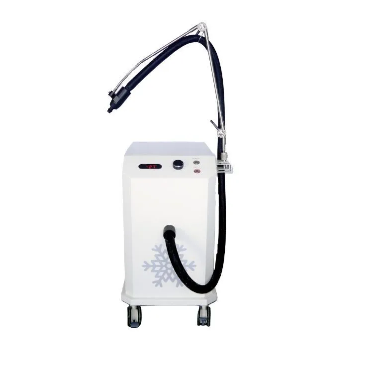 High Power 9 Level Wind Tattoo Remove Pain Relief Cold air Skin Cooling System for Tattoo Removal