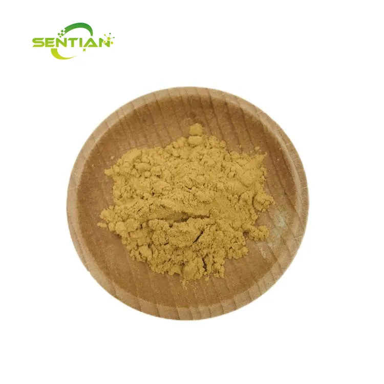 Terminalia Chebula Extract 10:1 Arjuna Extract Fructus Chebulae Extract