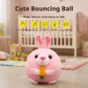 Pelota saltarina recargable - Conejo rosa - Cable USB gratuito
