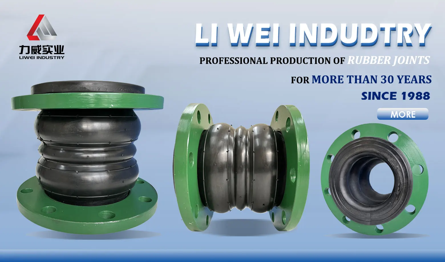 Din Ansi Bs Iso Jis Flange Flexible Rubber Joint Double Ball Rubber