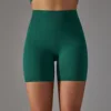 Pantaloncini verde inchiostro