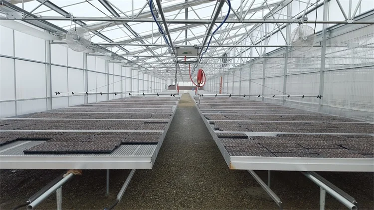 Black out greenhouse