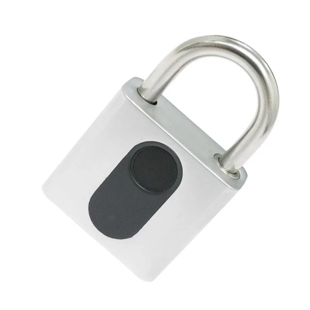 padlock bike wiht alarm
