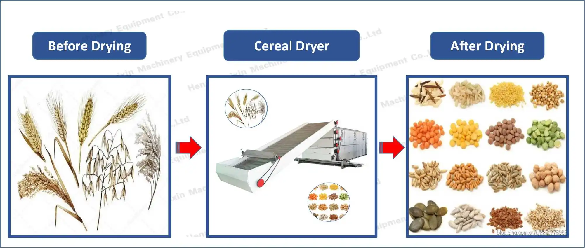 High Capacity Gas Fruit Vegetable Continuous Mesh Belt Dryer Brewer