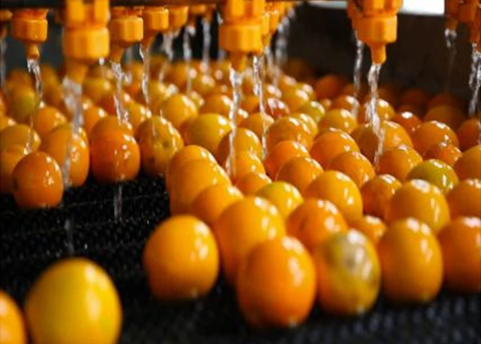 Industrial Citrus Orange Juicer Processing Making Machine Production Line Plant