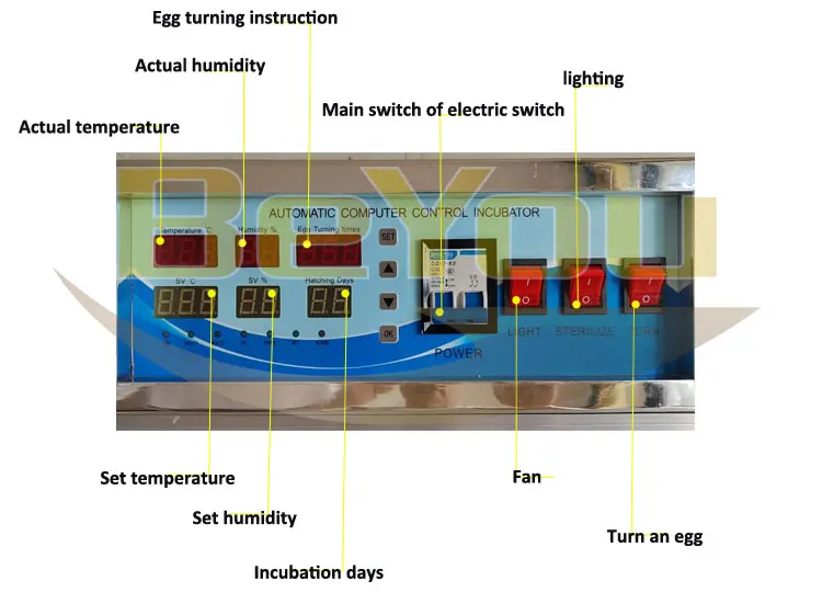 Factory Supply Latest Chick DC Egg Incubator Hatching Machine with Solar Power Panel and Battery