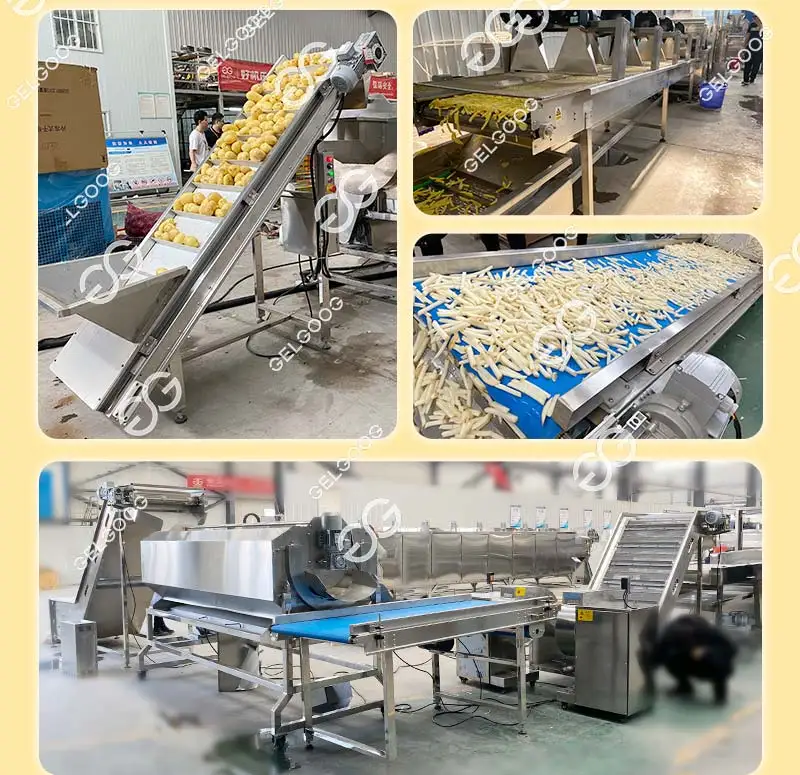 French Fries Maker Machine Price India Machinery Manual French Fry