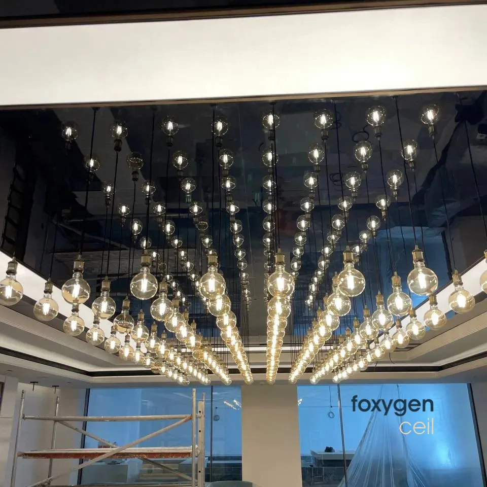 CE Certificate Lens 170 Degree IP 20/IP65 LED Strip DC24V Shadowless Flexible LED Strip for Light Box supplier