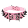 Clavo negro: Rosa