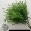 Planta verde de romero