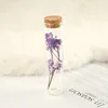 Souffle de bébé violet