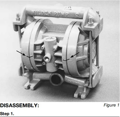 T2/AAAAB/NES/NE/ABN/0014 Diaphragm Pump details