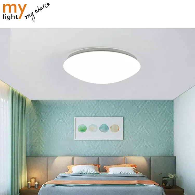 Acrylic Decorative Ceiling Lamp/Ceiling Panel Light Led