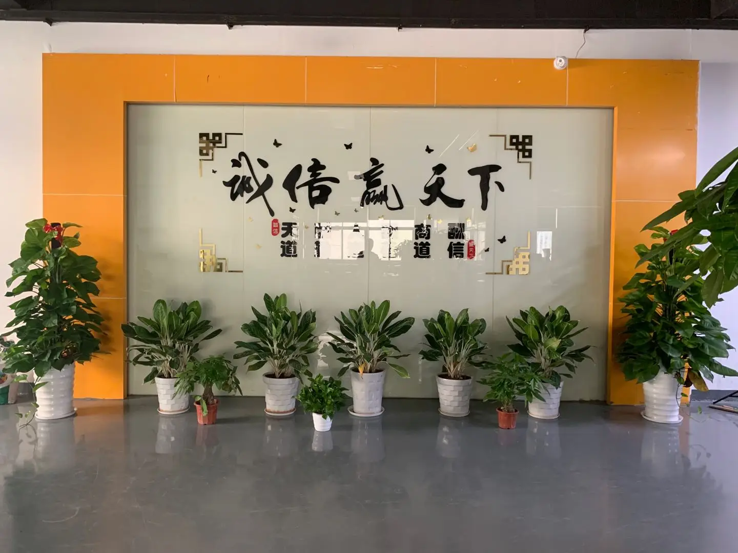 9h Nano Liquid Glass Screen Protector Oleophobic Coating Universal Film