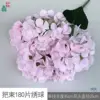 A bunch of 180 hydrangea petals, HJX pink
