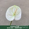 Upgraded plastic palm-white and green