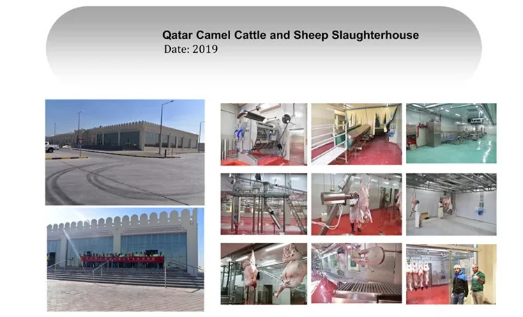 Sheep slaughterhouse plants 100 goat meat slaughterhouses per day