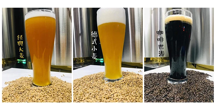 shandong gain machinery brewery machine
