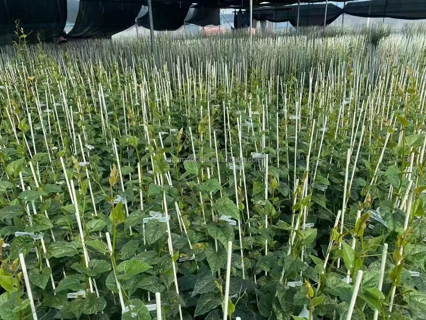 product fiberglass rods for farming for garden plant nursery seedling stakes-6