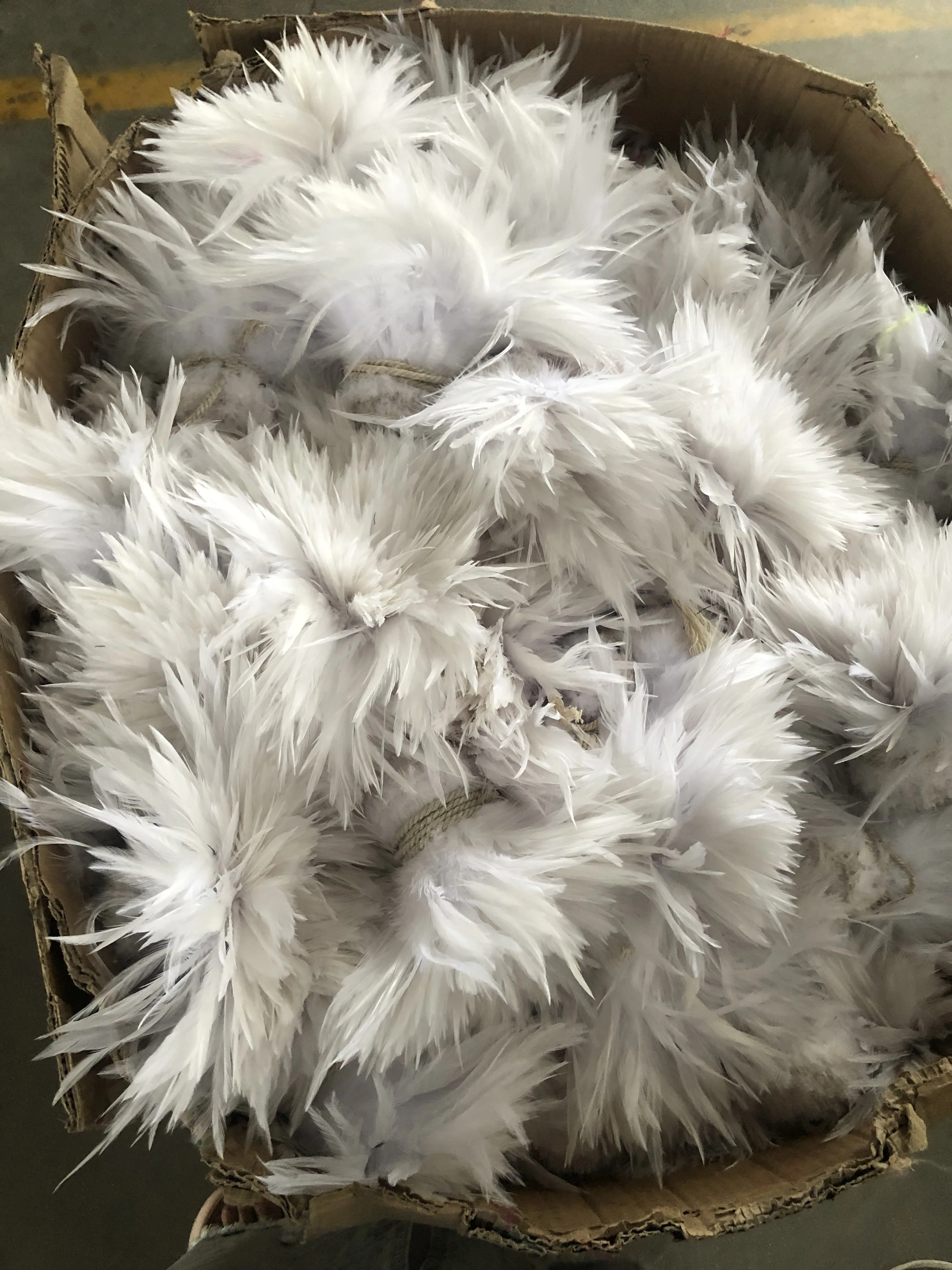 KOLIGHT set di 50PCS 30-35cm Natural Rooster coque Tail