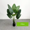 120 cm - 8 foglie