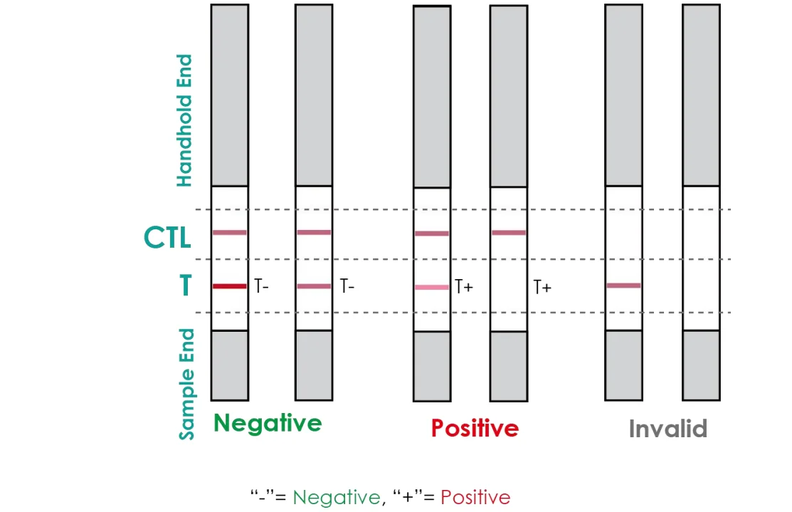 Veterinary Residue Rapid Test Dipstick For Tylosin And Tilmicosin Milk Antibiotics Sc054 Buy