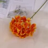 rama de naranja