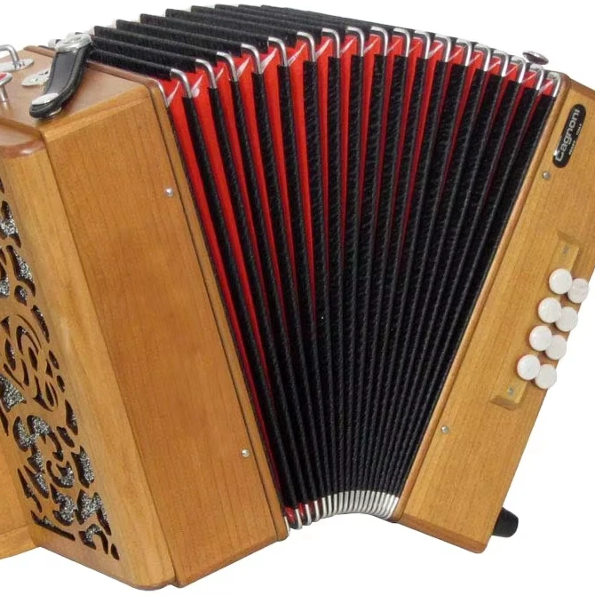 High Grade 23K8B Diatonic Celluloid Button Accordion With Cagnoni Reeds