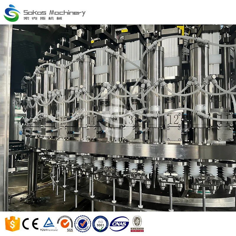 Fully Automatic Complete 2000BPH PET Bottled Drinking Mineral Water Filling Line
